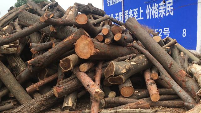 湖北木材厂原木木料批发,木材种类齐全,价格便宜_木材加工厂