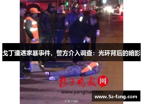 戈丁遭遇家暴事件，警方介入调查：光环背后的暗影